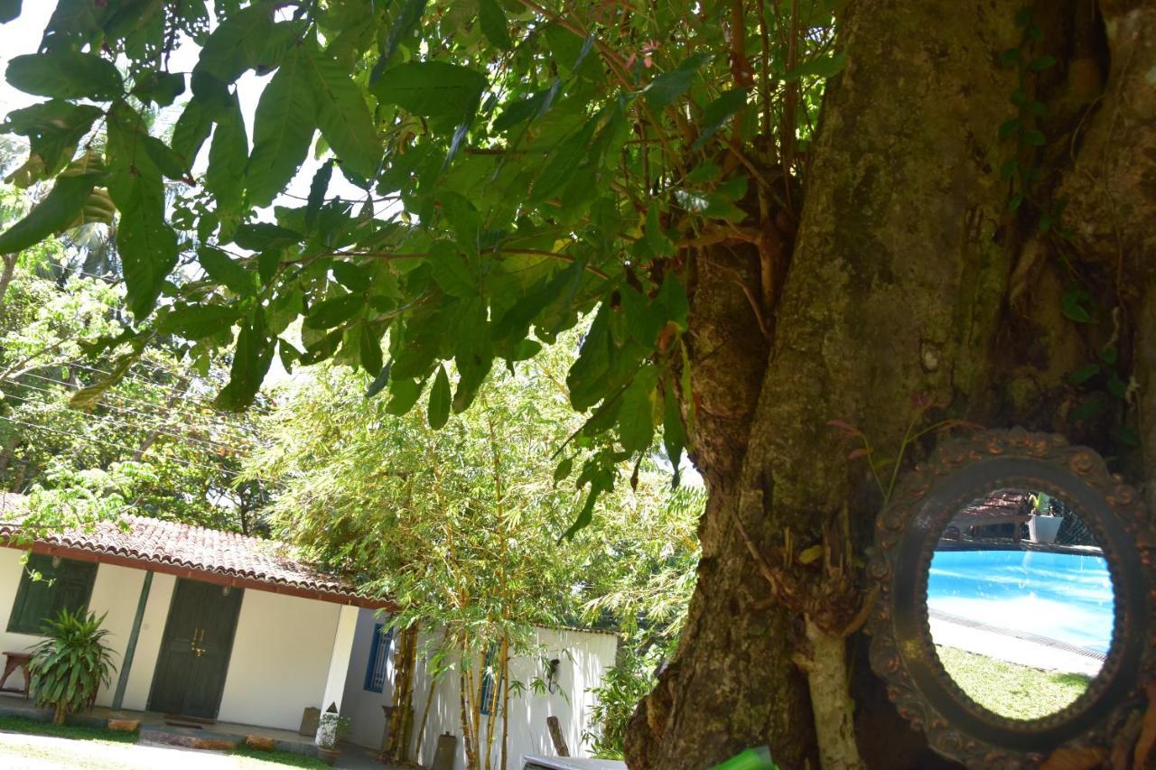 Sethra Villa Bentota Exterior foto
